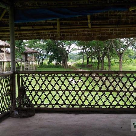 Dhansiri Eco Camp Bokākhāt 외부 사진