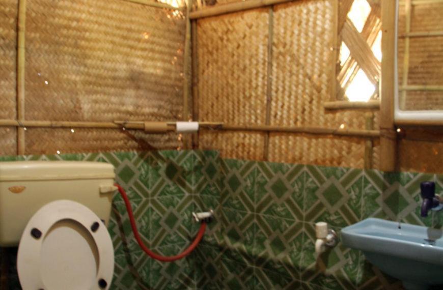 Dhansiri Eco Camp Bokākhāt 외부 사진