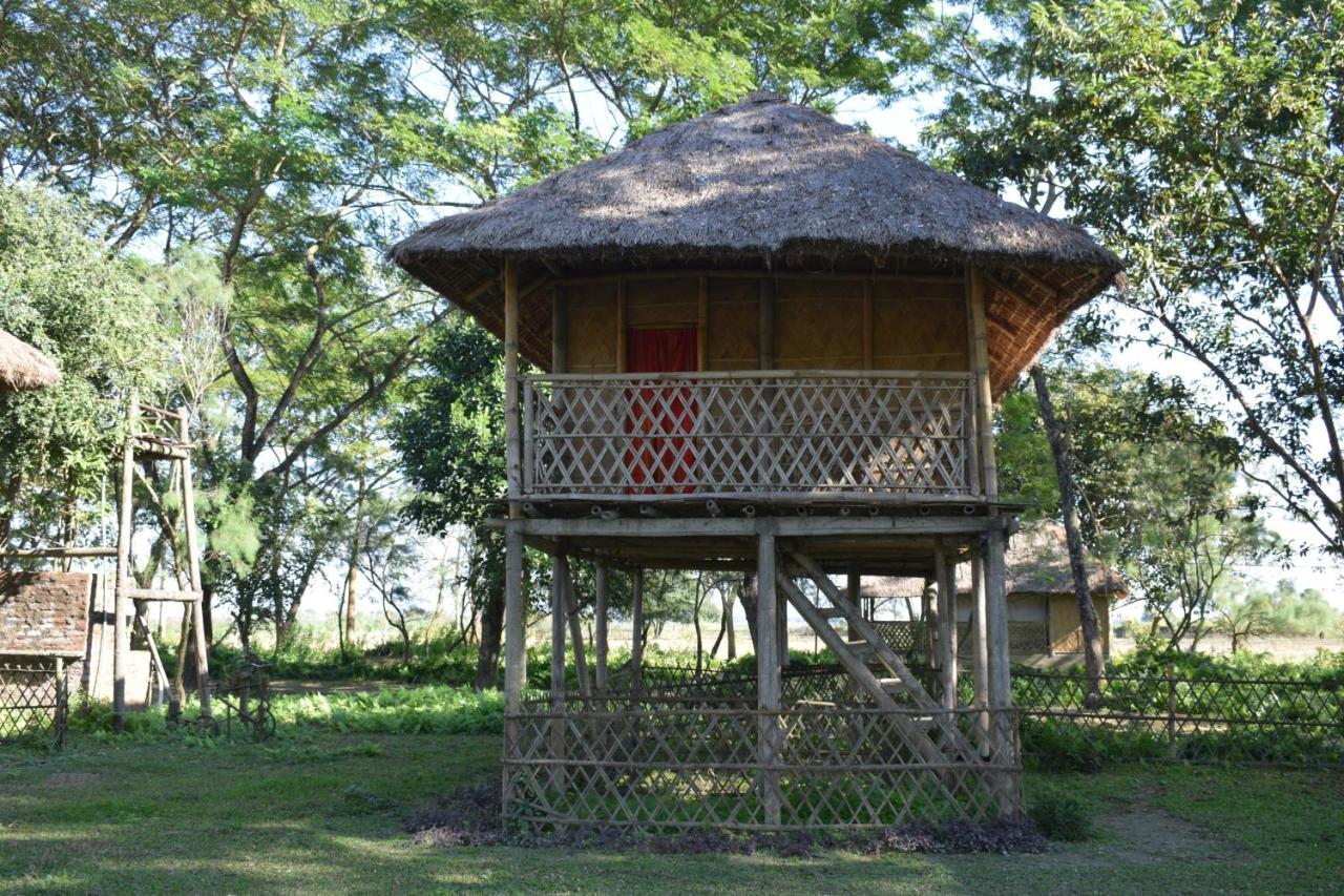 Dhansiri Eco Camp Bokākhāt 외부 사진